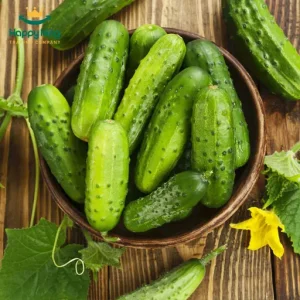 Cucumber
