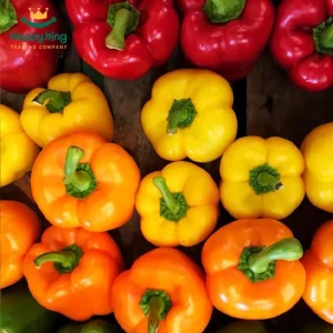 Bell Pepper