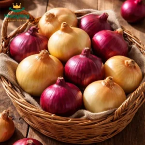 Onion
